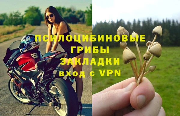 ешки Краснослободск