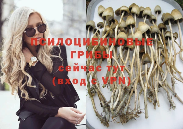 ешки Краснослободск