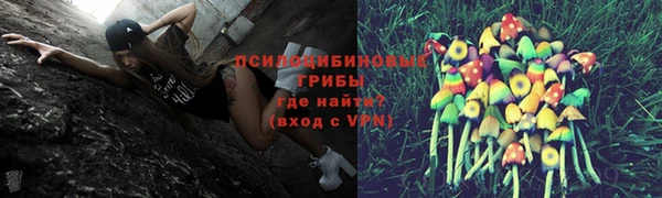 ешки Краснослободск