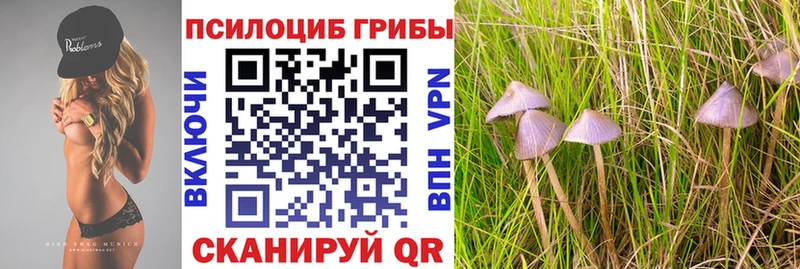 Галлюциногенные грибы ЛСД  Купить закладки  Вышний Волочёк 