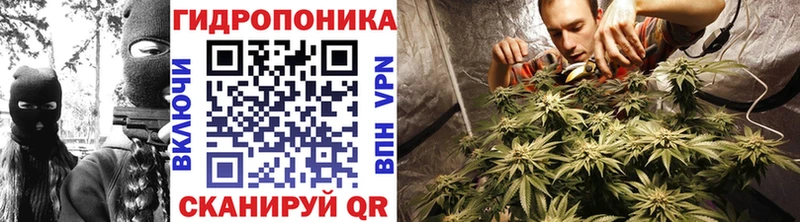 Купить где  Вышний Волочёк  Шишки марихуана планчик 